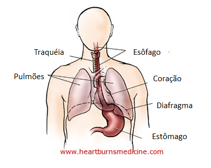 No na garganta refluxo